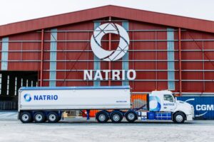 Arthur Falk Wikipedia no Grupo Natrio